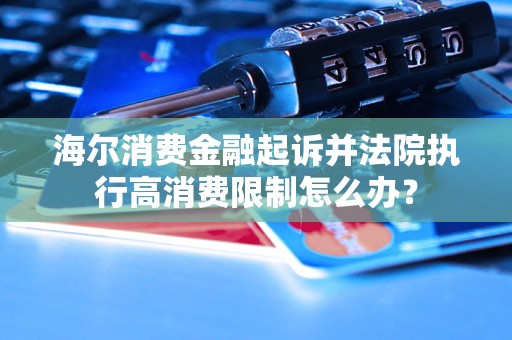 融起诉并法院执行高消费限制怎么办？AG真人百家家乐APP海尔消费金